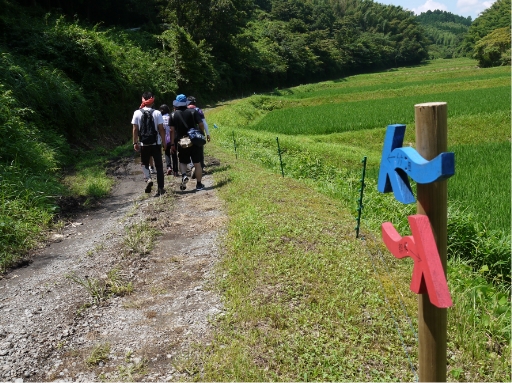 写真:九州オルレ奥豊後コース(⽵⽥市)