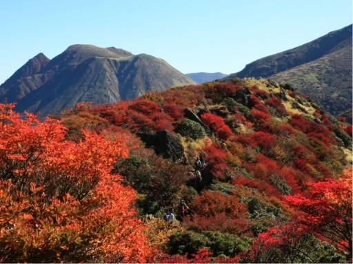 写真:くじゅう連山(久重町)